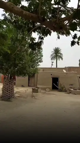 والمات والمات... صوت يردّد وجع الزمن 💔⏳. أنشودة عن الحنين، النداء للأهل، والأيام اللي ترجع مرة ومره. شاركوني أقدم ذكرى تجيكم لما تسمعون هالكلمات وعلّموا اللي تحبونهم 👥🎶. #شعر #حزينہ♬🥺💔 