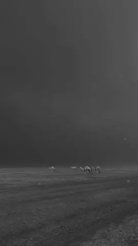 Dr Israr Ahmed! #deenway #deensayings #drisrarahmed 