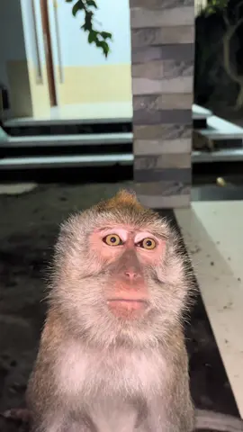 Awalnya😆akhirnya😔#fyp #fypシ゚ 