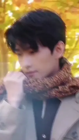 #yangyang #หยางหยาง #กําแพงจีนมันสูงเข้าแล้วออกยาก 