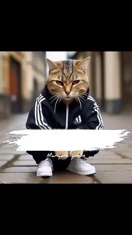 hahahaha🤣🤣🤣😄🤣🤣