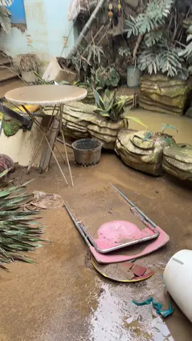 2024: bị indonesia chiếm dụng 16,500 usd và tìm ko ra để đòi. Cũng trong năm này gia đình ly tán với nhiều hệ lụy và vẫn gắng gượng chu cấp nuôi con đến nay 2025: bị khách hàng không thanh toán buộc phải kéo hàng về với tổng thiệt hại trên dưới 700tr Gần cuối năm 2025 này, tôi lại bị một cú sốc thiên tai lớn mà trong đời chưa bao giờ thấy. Thiệt hại quá nặng nề, tài sản mất hết. Đành rằng luôn có câu “còn người là còn của” nhưng tôi còn gì nữa đâu để tiếp tục gánh vác. Tinh thần suy sụp, sức khỏe suy kiệt Miếng xin là miếng nhục. Lâu nay tôi chưa từng xin ai. Nhưng đã đến nước này rồi. Tôi cầu mong sự giúp đỡ từ bạn bè đồng môn… 1/ Giúp công dọn dẹp tôi xin nhận. Hãy giúp tôi 2/ của ít lòng nhiều. Xin cứu giúp Xin chân thành cám ơn mọi người. Xin đừng nghĩ đừng đánh giá gì tôi. Vì bản thân đã quá suy kiệt suốt 2 năm qua… #nhatrang #baolutmientrung  #cuutro #xuhuong 