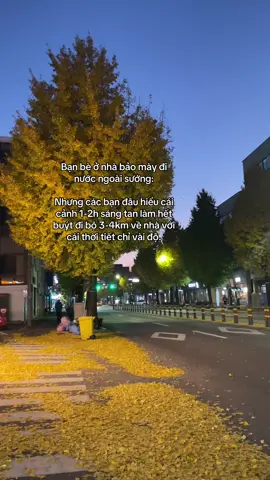 đâu phải ai cũng hiểu được:)) #duhocsinh #유학생🇰🇷🇻🇳 #xh #viral #fyp 