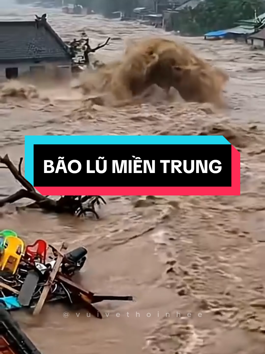 Nói rằng người dân miền Trung đã quen với bão, vì năm nào cũng có bão, bão chồng bão nhưng nói vậy có thực sự đúng không? Bởi người ta chỉ quen với tần suất mà bão đổ bộ chứ quen làm sao với những mất mát, đau thương khi cơn bão qua đi. 🥹 Trích nguồn: VTV, 浮光 #baolumientrung #baolu #vietnam  #vuivethoinhee #xh @vuivethoinhee 