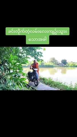 #တိုးတက်စေဆရာတော် #လမ်းကျဥ်းသွားလို့ပါ#ရောက်ချင်ရာရောက်ကွာ💞💞💞 #မြင်ပါများပြီးချစ်ကျွမ်းဝင်အောင်လို့ #foryoupage❤️❤️ @ဟန်ဆက်အောင် 