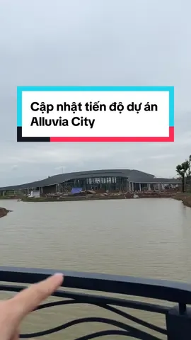 Cập nhật tiến độ dự án Alluvia City ##bđs #alluvia #xuancau #ecopark #caungochoi 