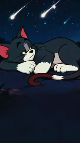 #creatorsearchinsights #волшебникудачи #wizardofluck #edu777 