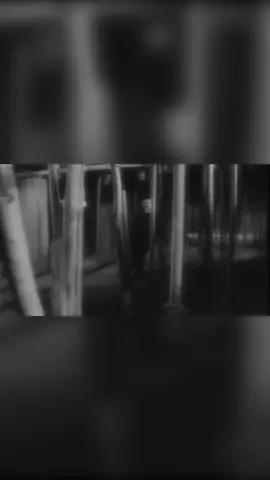 سنين متحمل اذيتك 💔🎶 #حبيب_علي #طربيات_الزمن_الجميل_🎼🎶🎻♥️🌹 #اغاني_عراقيه #اغاني_حزينه #تصميم_فيديوهات🎶🎤🎬 