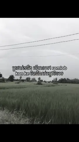 Som romlob muy oy bat rngea 😞