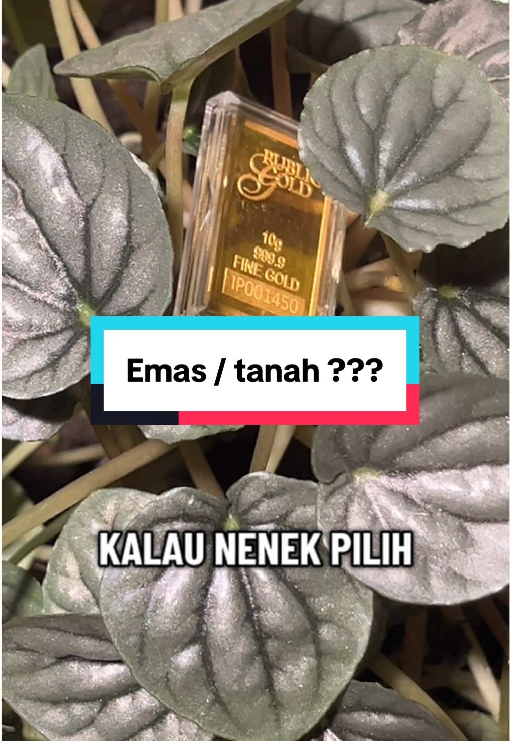 Tim emas apa tim tanah nih? #emas #nabungemas #publicgoldindonesia #5gassociates #fypage 