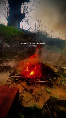 #fyppppppppppppppppppppppp #algeria 