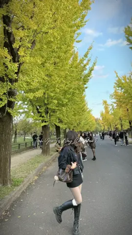 #CapCut #xuhuong Đang tìm giấy sử dụng nhan sắc. Nhường em mấy anh m8 được hong ạ??