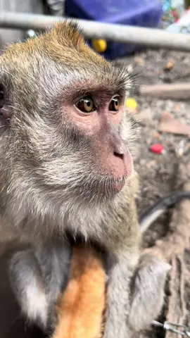 Tidak bisa berkata kata#fyp #fypシ゚ 