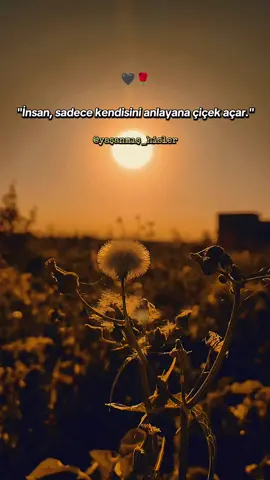 𝗦ö𝘇 𝗯ı𝗿𝗮𝗸...🌼 #hislerim #doga #yasam #siir #tiktok 