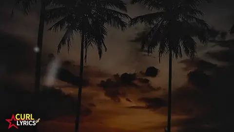 #creatorsearchinsights  #2.5millionviews #billiinviews#curllyrics 