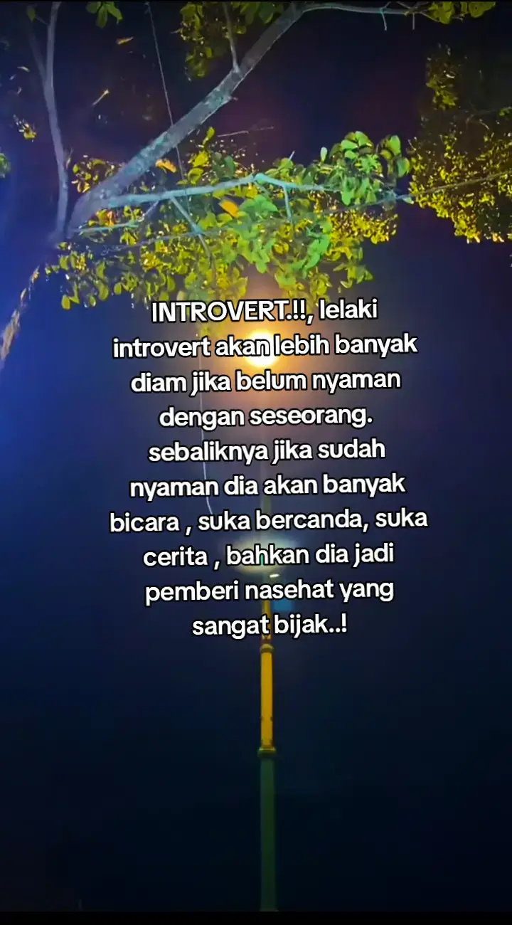 #introvert #storyintrovert #introvertstory 