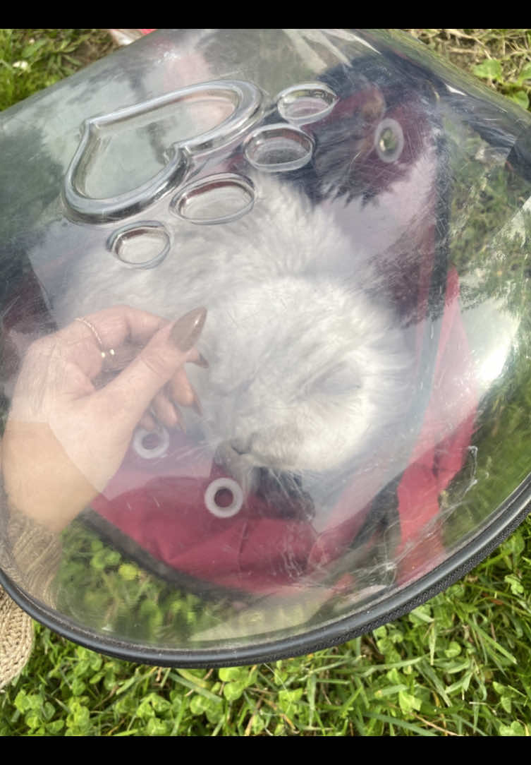 جمالووو✨🤍#سطنبول_العراق_سوريا_مصر_االسعودية #اكسبلورexplore #CapCut #شعب_الصيني_ماله_حل😂😂 #تركيا🇹🇷اسطنبول 