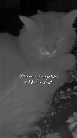 😂😂😂🫣🫣🥰❣️