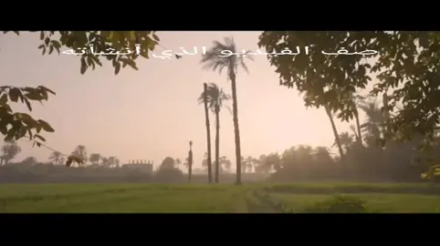 كل سنة وانت طيب يا حبيب مصر ❤️