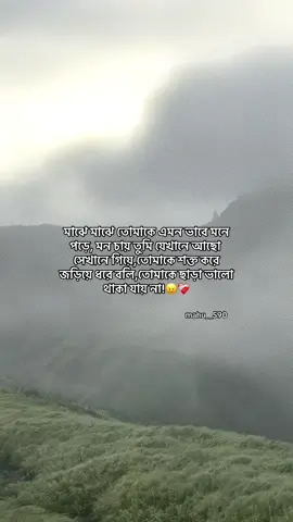 মাঝে মাঝে তোমাকে এমন ভাবে মনে পড়ে, মন চায় তুমি যেখানে আছো সেখানে গিয়ে,তোমাকে শক্ত করে জড়িয়ে ধরে বলি,তোমাকে ছাড়া ভালো থাকা যায় না!😖❤️‍🩹 #foryou #foryoupage #fyp #tiktok #viral 