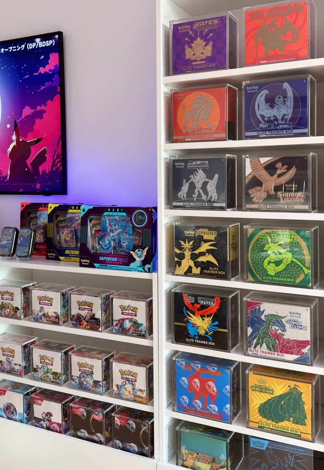 Forever obsessed with this view 💞 #pokemon #Love #obssesed #pokemoncollection #collector  