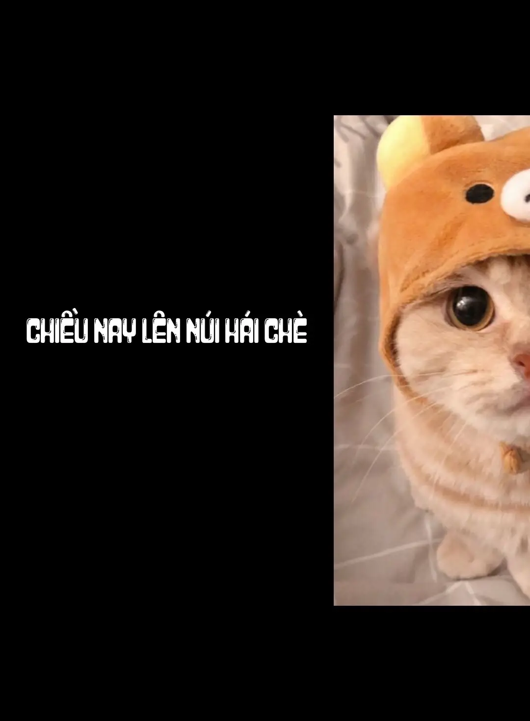 #xh #fypシ゚ #xhtiktok #xuhuong #nhachaymoingay 