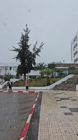 #constantine #عبد_الحميد_مهري #fyp#university 