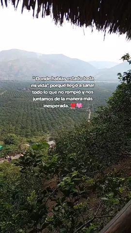 #paradedicar🙈❤️🙈 #paradedicaratupareja #amor #fracesparadedicar #fyp 