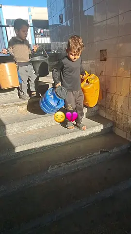 أطفال #غزه صباح اليوم  الششمال💔