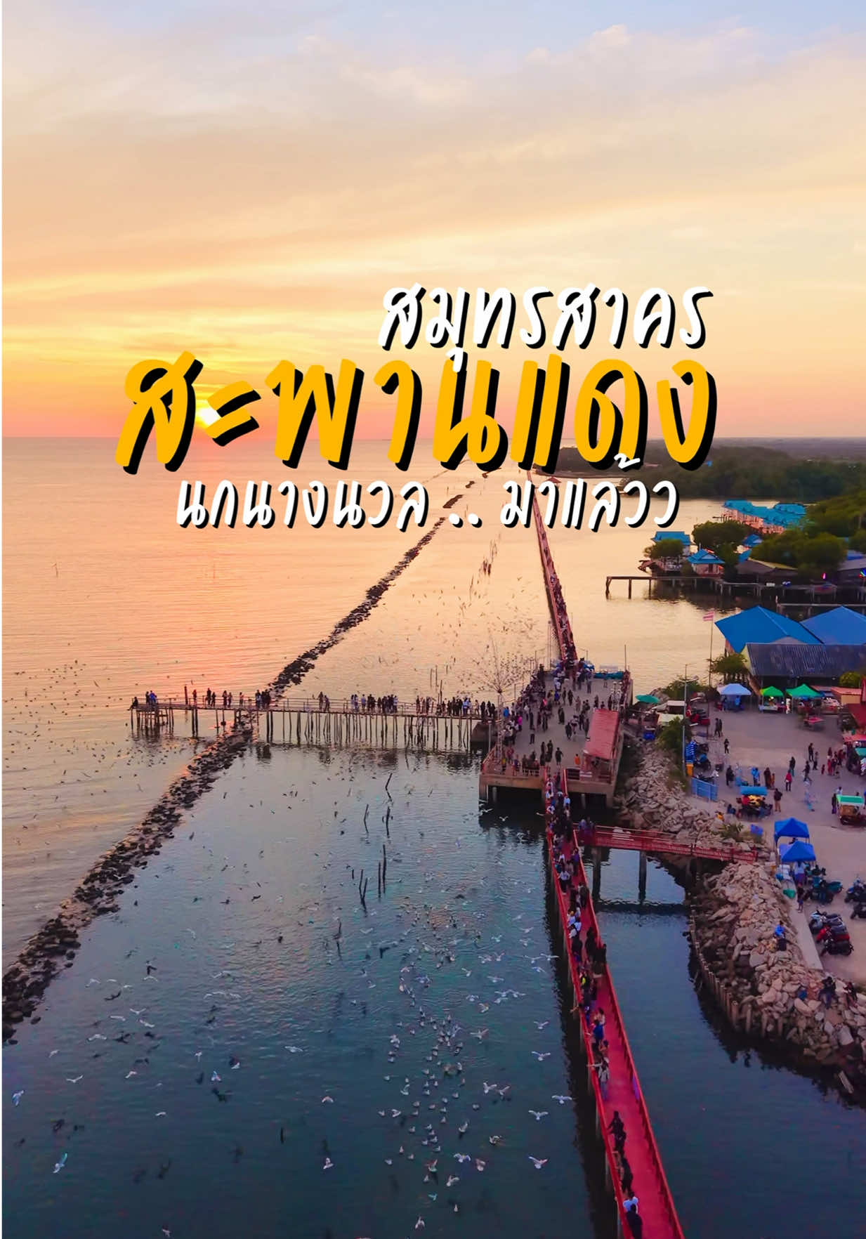 นกนางนวลมาแล้ว สะพานแดง สมุทรสาคร #สมุทรสาคร #สะพานแดงจุดชมวิวปลาโลมา #Tiktokพาเที่ยว #สะพานแดง