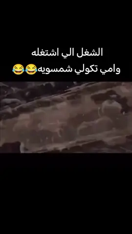 #تكريت #العراق #امي_جنة 