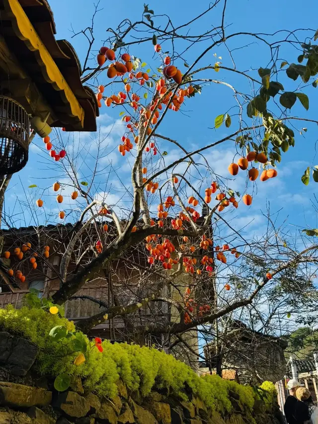 Đi về rồi vẫn lưu luyến quá. Chia sẻ cho các bạn 1 số hình ảnh làng Lô Lô Chải thân yêu #hagiang #xuhuong #dulichhagiang #lolochai 