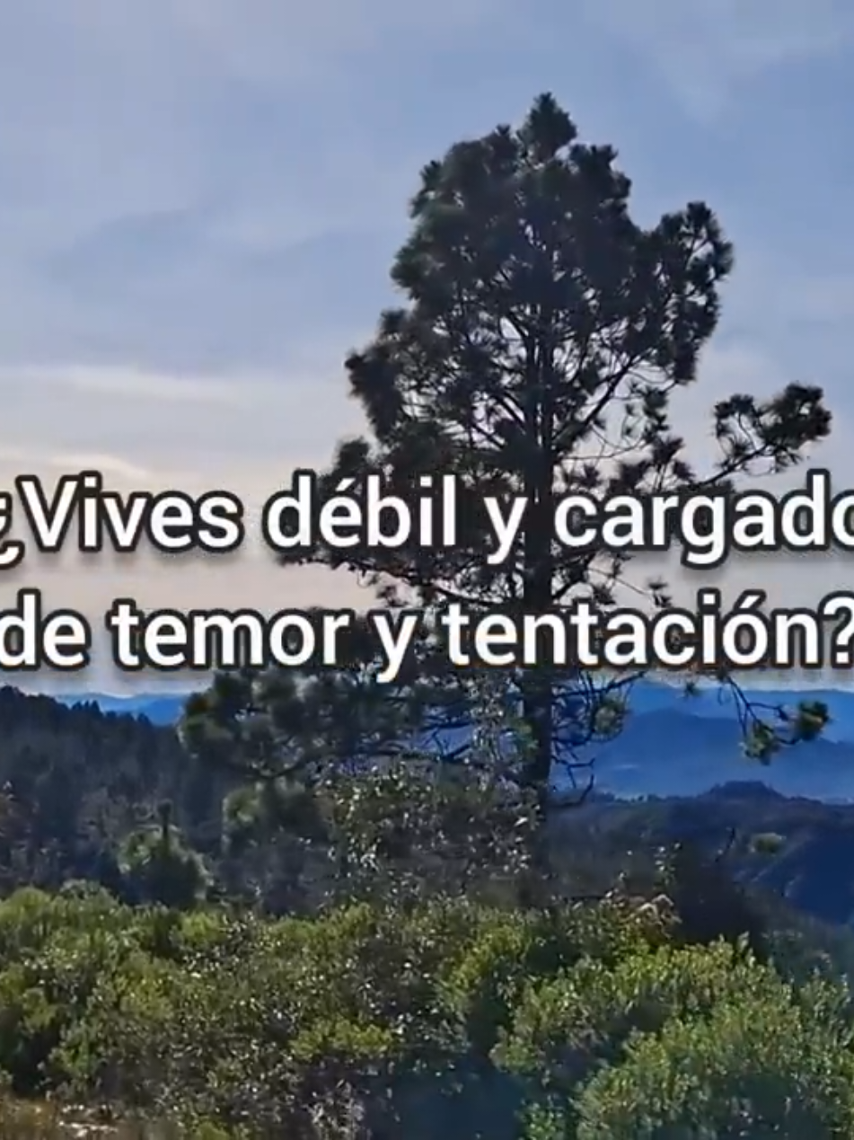 Oh que amigo nos es Cristo #musicaadventista #adventista #alabanza #musicacristiana #alabanzas_cristianas 