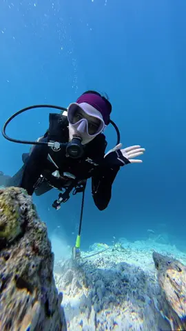 God created the sea, not just land to be enjoyed ♣️ #malukupride🏝🔥 #scubadiving #theraphy #fyp #sea 