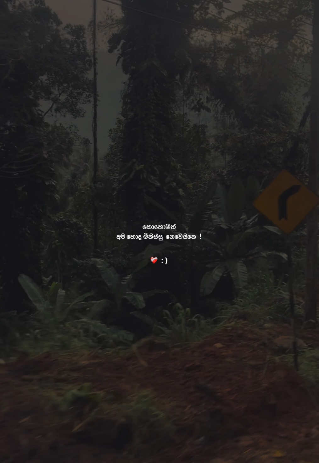 🤍 ! #Sasmixxxx3 #sinhalaquotes #quotes #whatsappstatus #statusvideo 