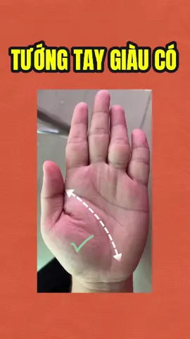 #xemboi #dcgr #phongthuy #nhantuong #xemchitay 