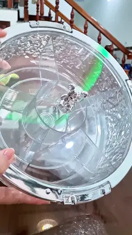 Khay đựng mứt tết hàng cao cấp #khaydungmuttet #khayđungbanhkeotet #tet2026 