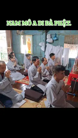 #namoadidaphat #adidaphat #hoathuongTinhKhong #niemphatvangsanh #đaotrangniemphat 