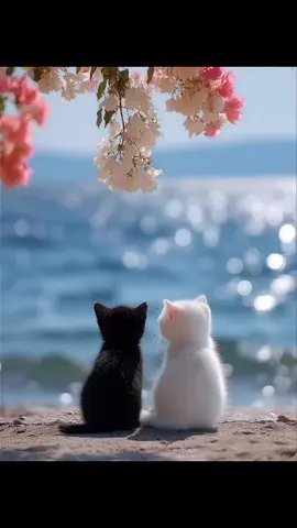 #இன்னிசைமழை #இன்னிசைப்பாடல்கள்🎶 #❤❤❤❤❤❤❤❤❤❤❤❤❤ #🌹🌹🌹🌹🌹🌹🌹🌹🌹🌹🌹🌹 