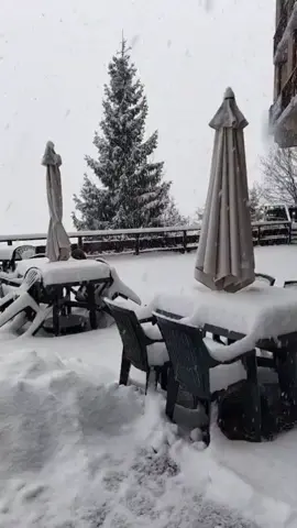 straordinaria nevicata al Passo della Presolana (Bergamo) in Lombardia alla quota di 1297m, più di 30cm di neve fresca al suolo e un panorama mozzafiato😍🌨️ seguiteci per rimanere aggiornati! #neve #passodellapresolana #lombardia #viral #fyp 