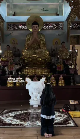 Một kiếp phong ba, thế gian xoay vần,.. #phatphap 