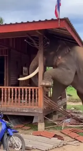 ไปทำไรละลูก #ฟีดดดシ 