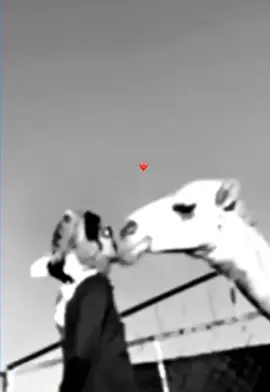 ماشاءلله❤️❤️