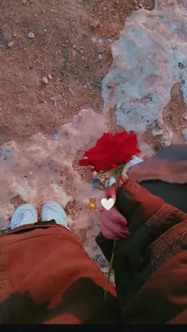 #بستي_هيدي_وبس🥺❤ 