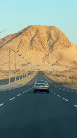 #بيشه#تصويري #الجنوب #ترند #الصايره 