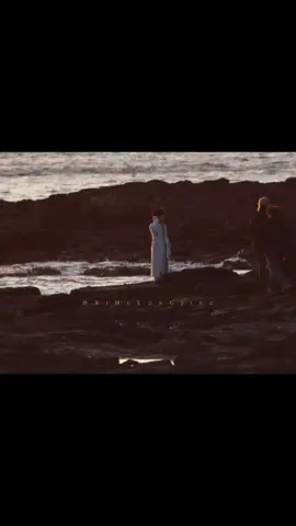 🐟#creatorsearchinsights#ziyu 