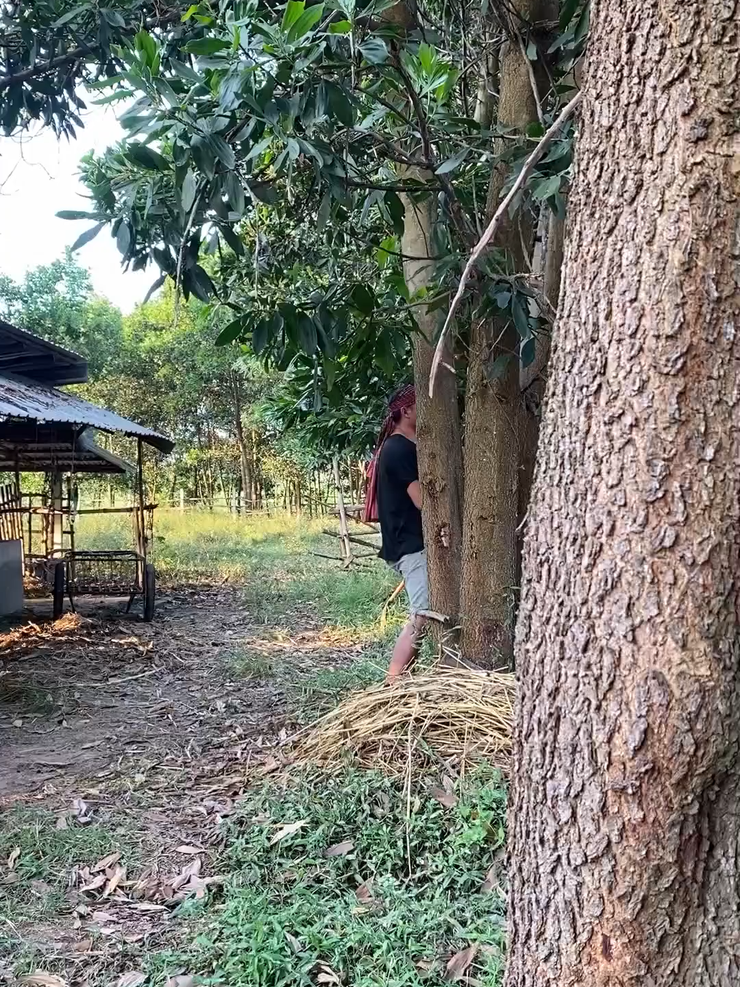 อยากถามเมียตรงๆ ว่าผัวผิดอะไร#ตลก #funny #ตลกขบขัน #comedy#คลปตลก