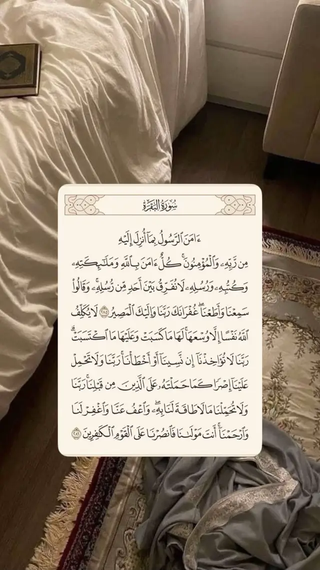 #explore #fyp #foryou 