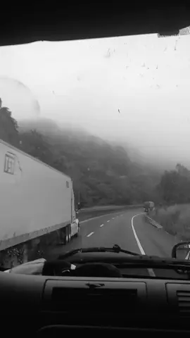 #lasverdadesduelen  🤷🏽‍♀️🥱 sin raspar muebles