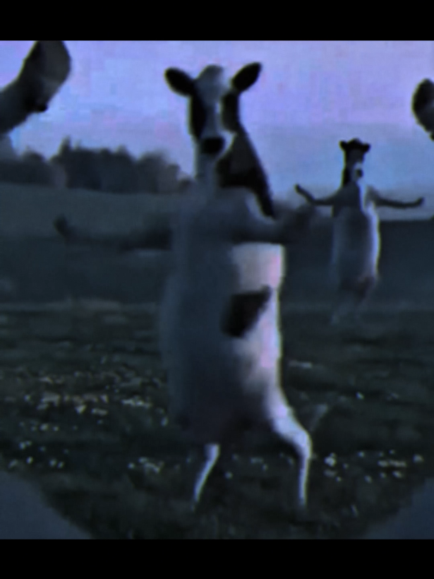 #hardtekk #hardtechno #fyp #viral #ravetok 